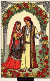 card-7